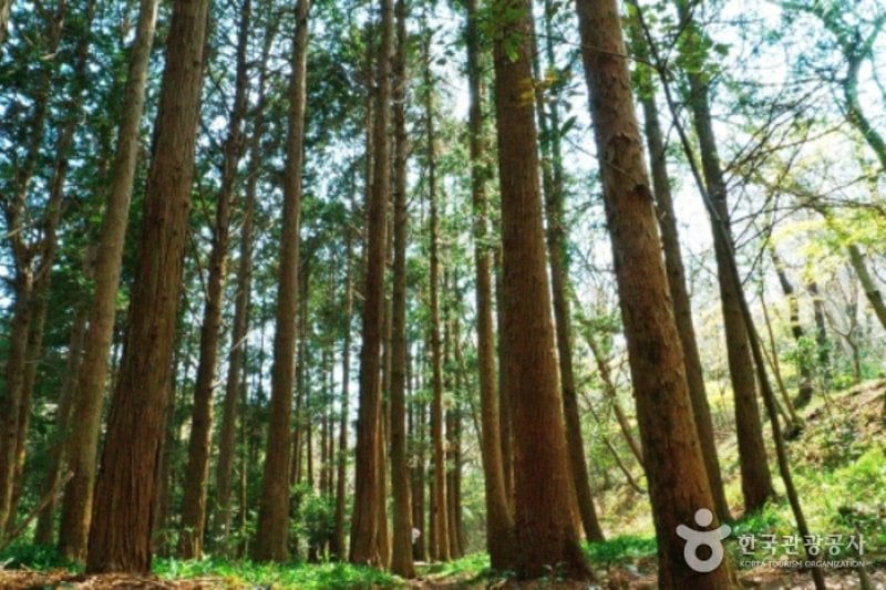 Duryunsan Provincial Park  (51/52)