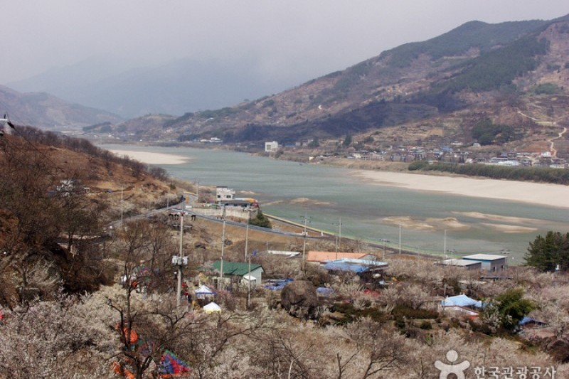 Gwangyang Maehwa Village  (1/2)