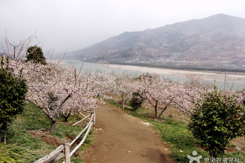 Gwangyang Maehwa Village  (2/2)