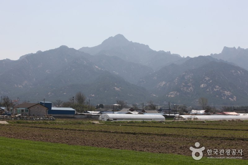 Yeongam-gun, Jeollanam-do  (2/4)