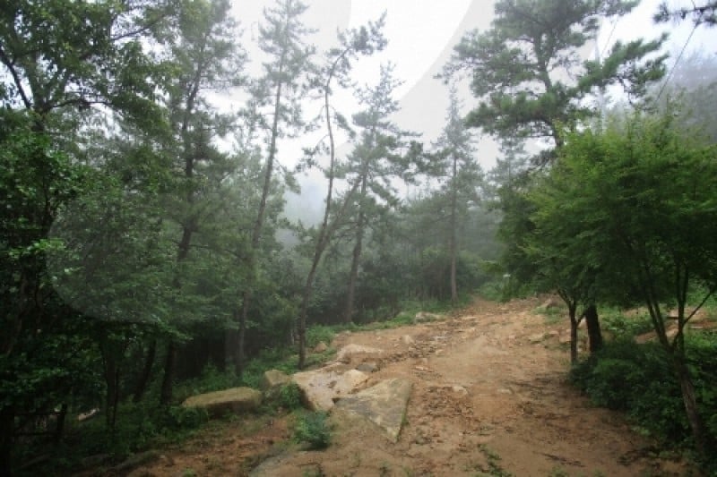 Cheongwansan Provincial Park  (4/21)