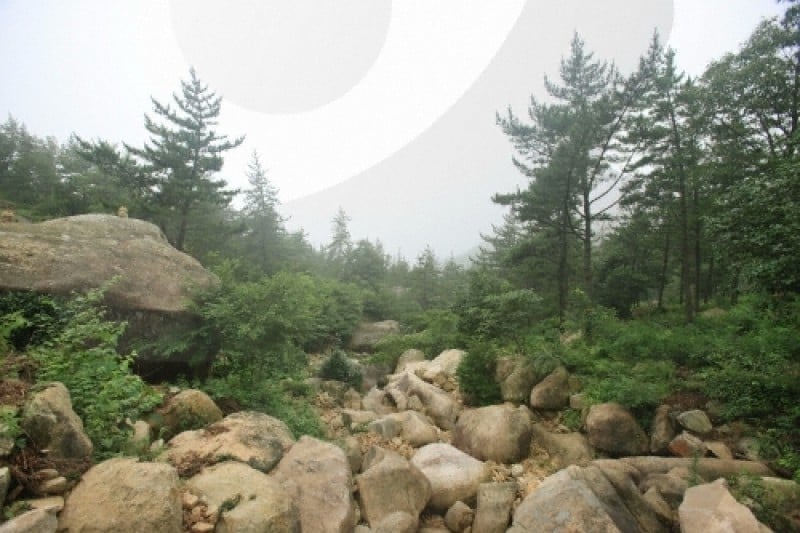 Cheongwansan Provincial Park  (6/21)