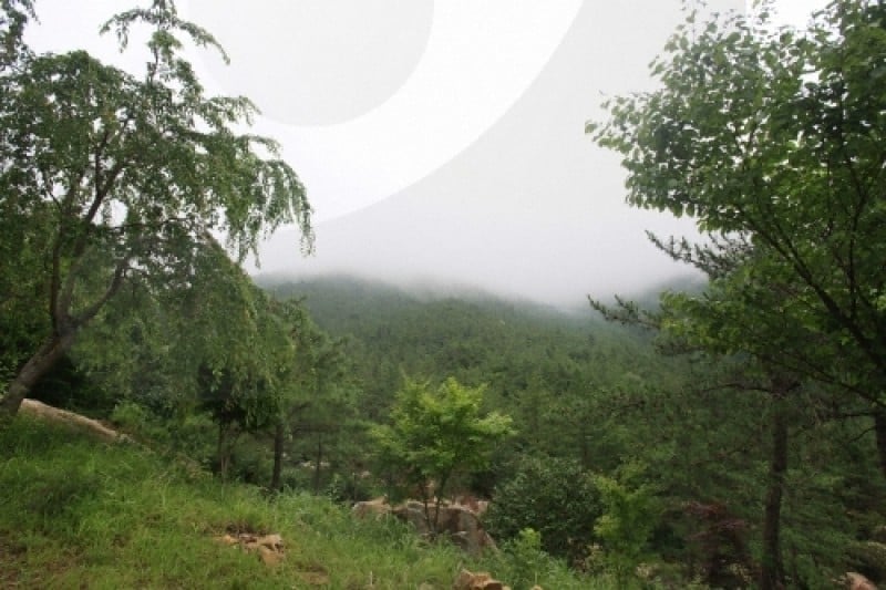 Cheongwansan Provincial Park  (13/21)