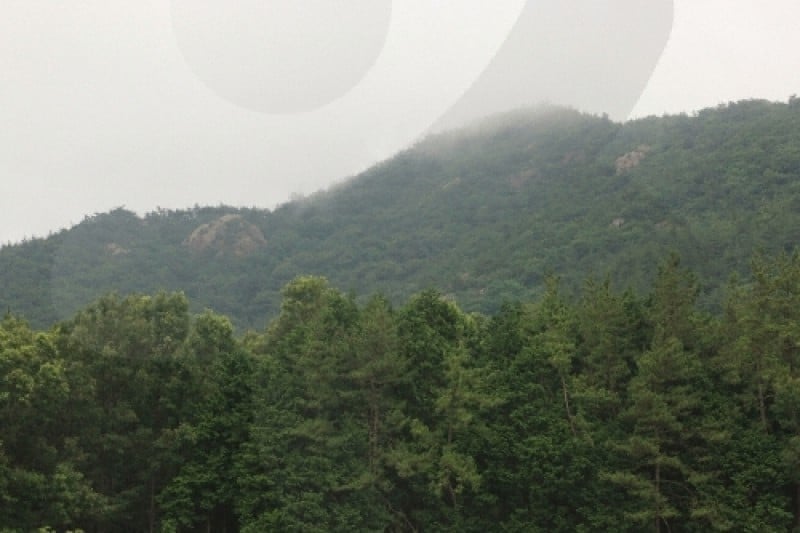 Cheongwansan Provincial Park  (16/21)