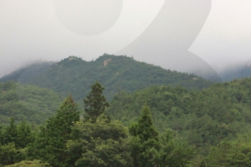 Cheongwansan Provincial Park  (17/21)