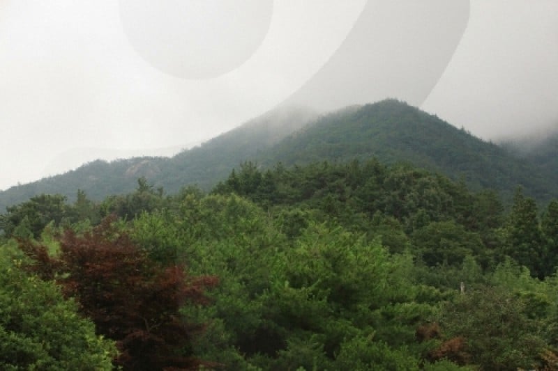 Cheongwansan Provincial Park  (19/21)