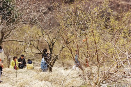 Gurye Sansuyu Village 