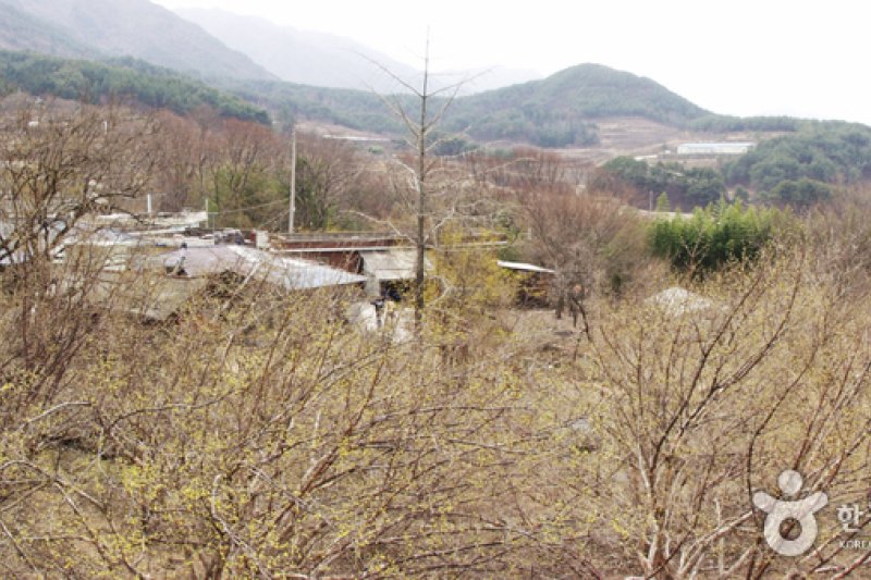Gurye Sansuyu Village  (2/10)