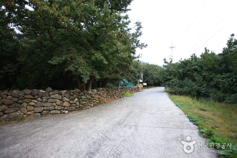 Gurye Sansuyu Village  (9/10)