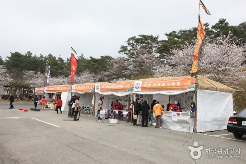 Yeongam Wangin Culture Festival  (4/14)