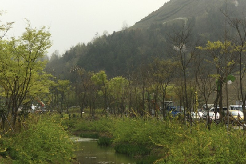 Hampyeong Expo Park  (4/29)