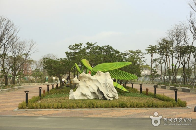 Hampyeong Expo Park  (5/29)