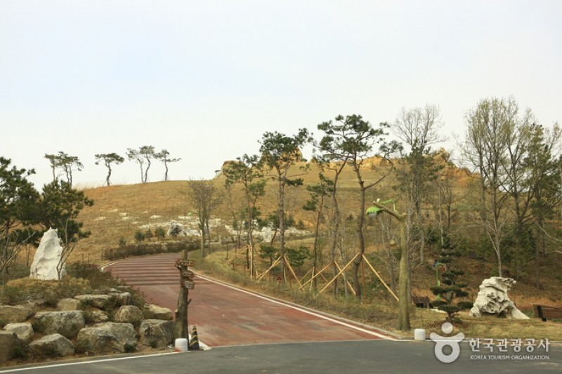 Hampyeong Expo Park  (9/29)
