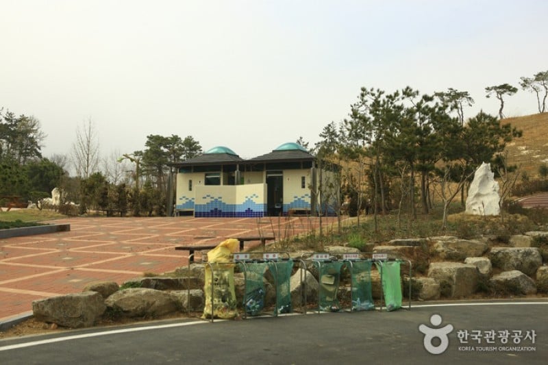 Hampyeong Expo Park  (10/29)