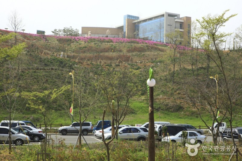 Hampyeong Expo Park  (16/29)