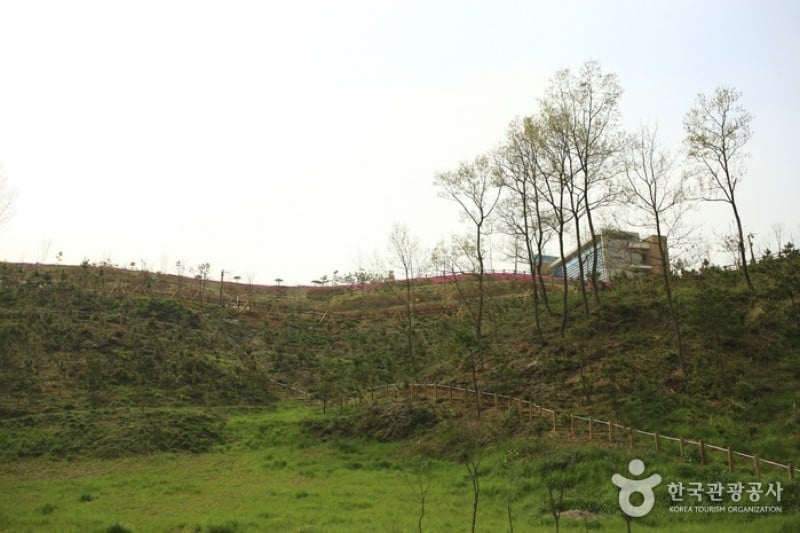 Hampyeong Expo Park  (17/29)