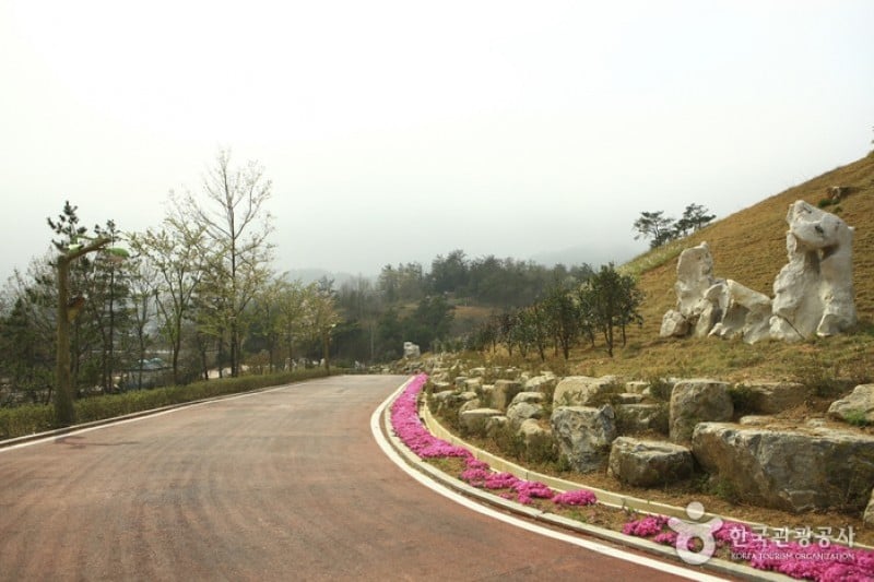 Hampyeong Expo Park  (18/29)