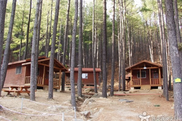 Baegunsan Recreational Forest