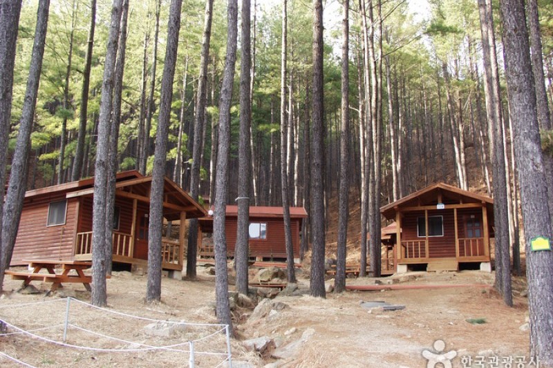 Baegunsan Recreational Forest  (1/7)