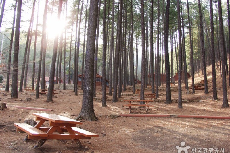 Baegunsan Recreational Forest  (3/7)