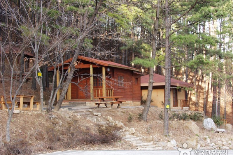 Baegunsan Recreational Forest  (4/7)