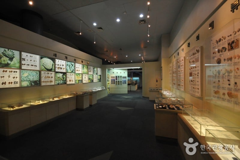 Maritime &amp; Fisheries Science Museum  (1/8)