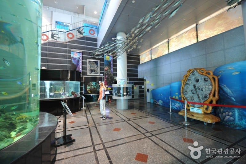 Maritime &amp; Fisheries Science Museum  (2/8)