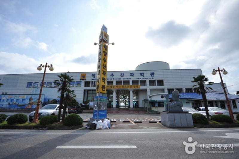 Maritime &amp; Fisheries Science Museum  (4/8)