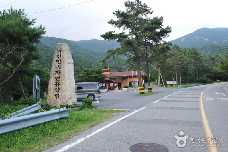 Nagan Folk Recreation Forest  (3/5)
