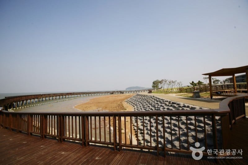 Muan Tidal Wetland Research (1/20)