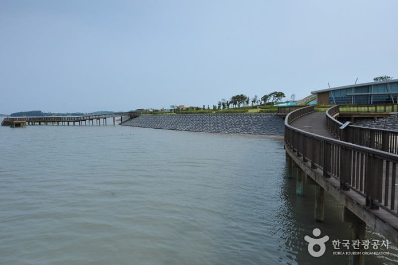 Muan Tidal Wetland Research (2/20)