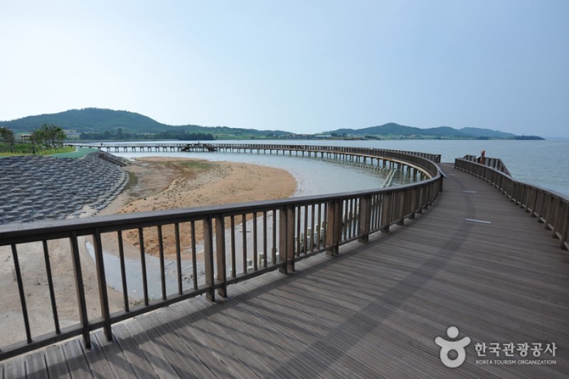 Muan Tidal Wetland Research (3/20)