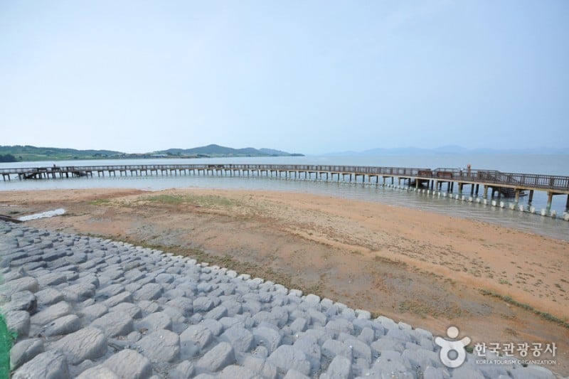 Muan Tidal Wetland Research (4/20)