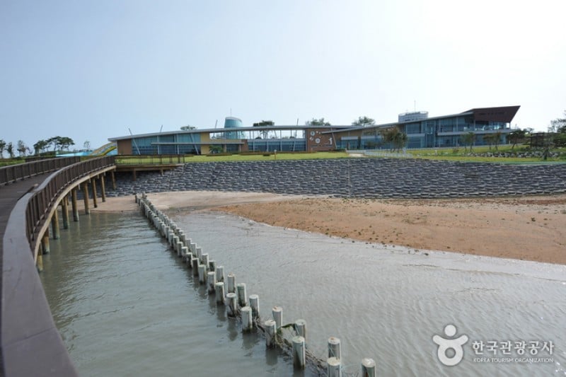 Muan Tidal Wetland Research (6/20)