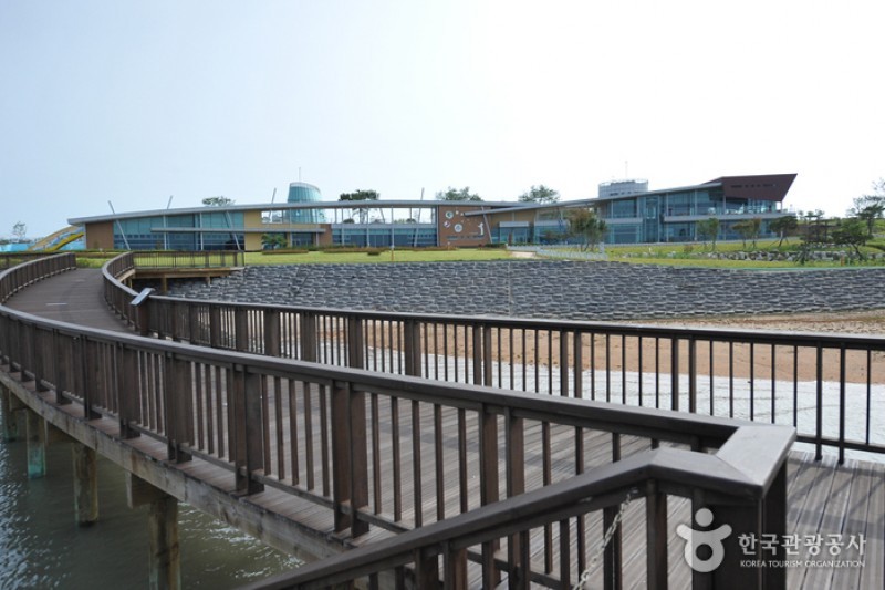 Muan Tidal Wetland Research (7/20)