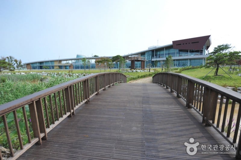Muan Tidal Wetland Research (8/20)