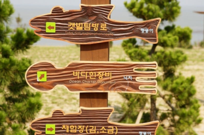 Muan Tidal Wetland Research (10/20)