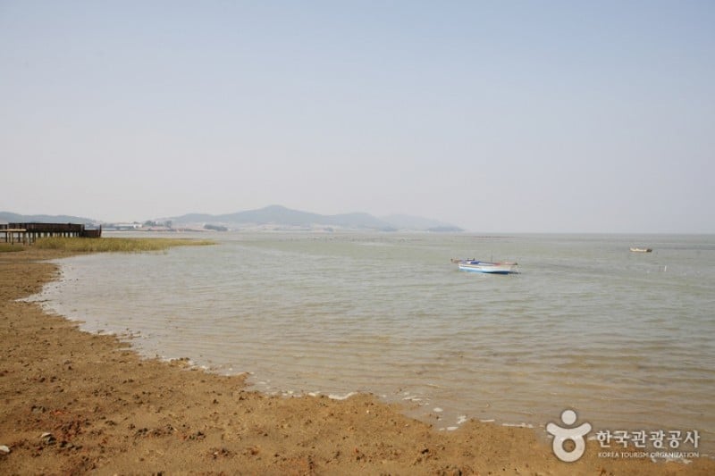Muan Tidal Wetland Research (11/20)