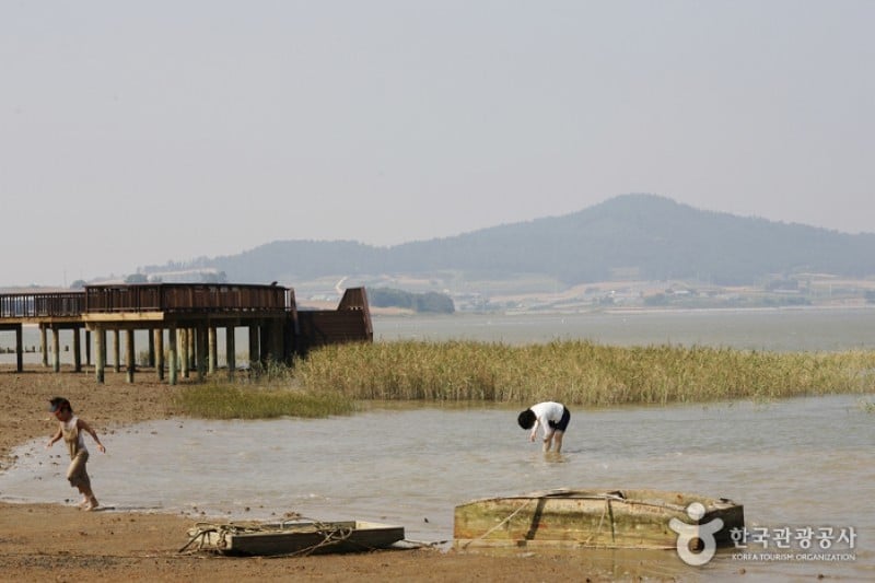 Muan Tidal Wetland Research (12/20)