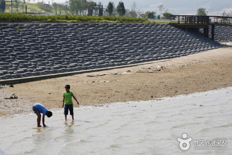Muan Tidal Wetland Research (15/20)