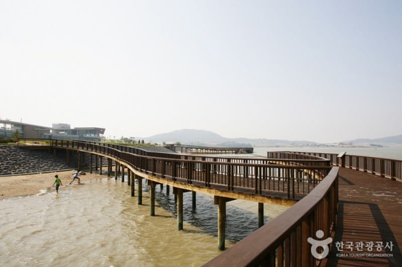 Muan Tidal Wetland Research (16/20)