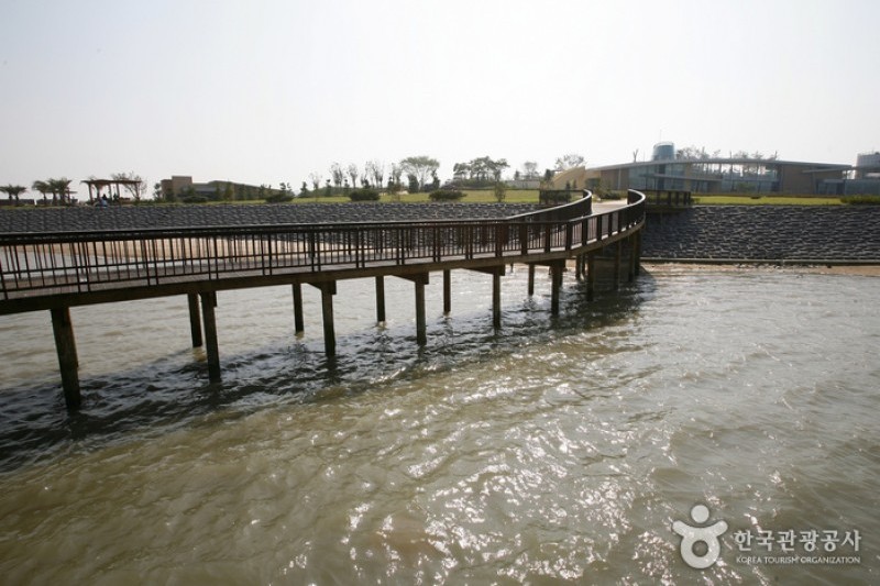 Muan Tidal Wetland Research (18/20)