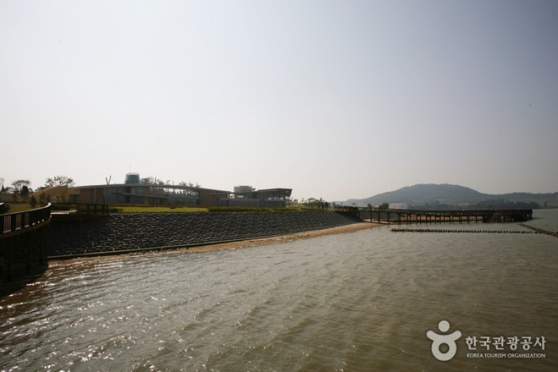 Muan Tidal Wetland Research (19/20)