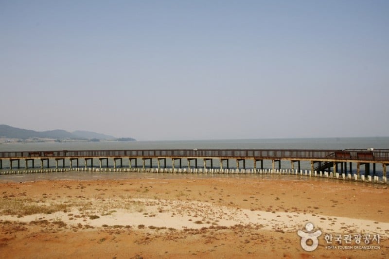 Muan Tidal Wetland Research (20/20)