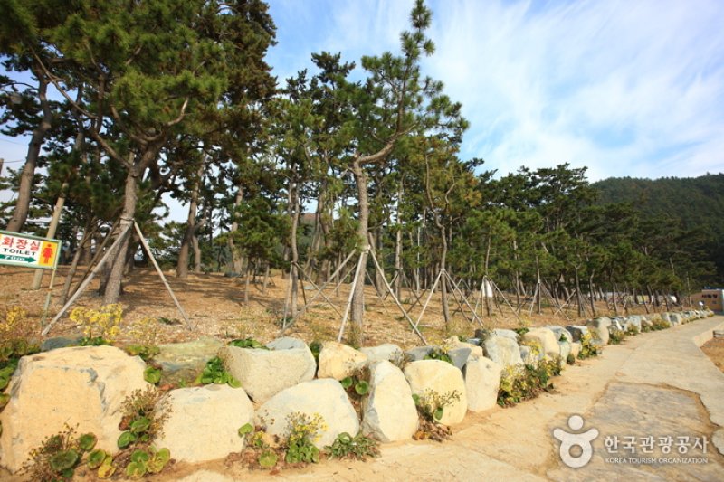 Bangjukpo Beach  (6/11)