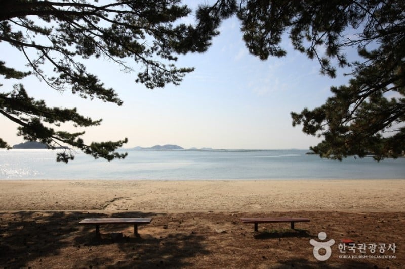 Ttangkkeut Songho Beach  (3/23)