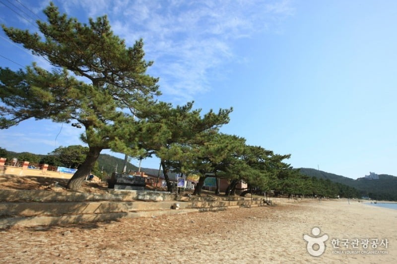 Ttangkkeut Songho Beach  (5/23)