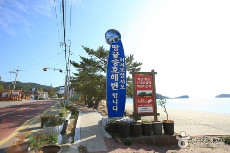 Ttangkkeut Songho Beach  (7/23)