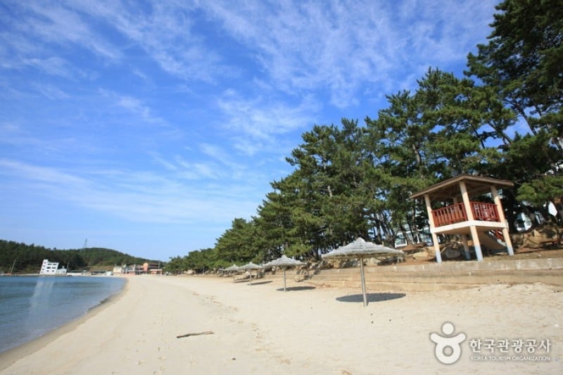 Ttangkkeut Songho Beach  (10/23)