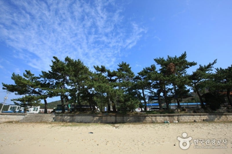 Ttangkkeut Songho Beach  (18/23)